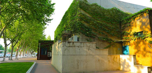 我的大學(xué)-大學(xué)志