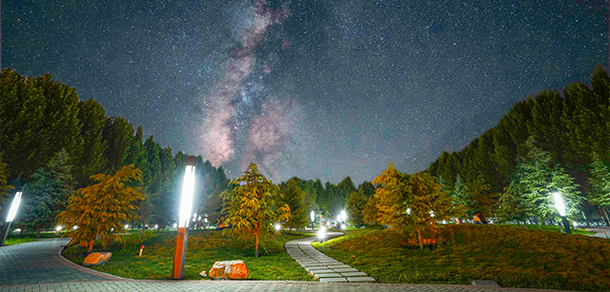 我的大學-大學志