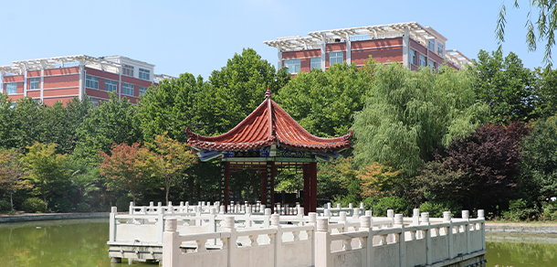 我的大學(xué)-大學(xué)志