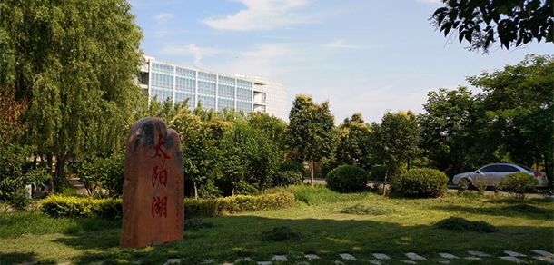 我的大學(xué)-大學(xué)志