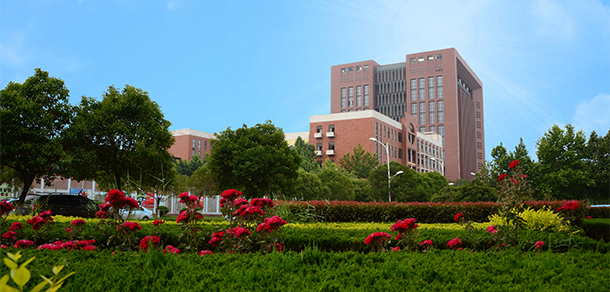 我的大學(xué)-大學(xué)志