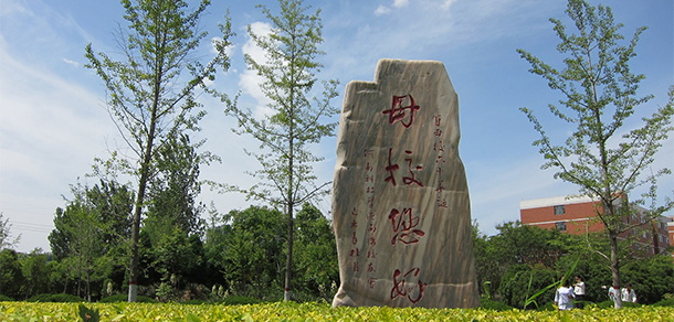 我的大學(xué)-大學(xué)志