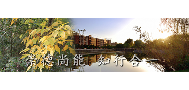 我的大學(xué)-大學(xué)志