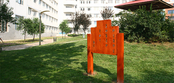 我的大學(xué)-大學(xué)志