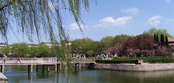 我的大學(xué)-大學(xué)志