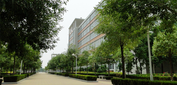 我的大學(xué)-大學(xué)志