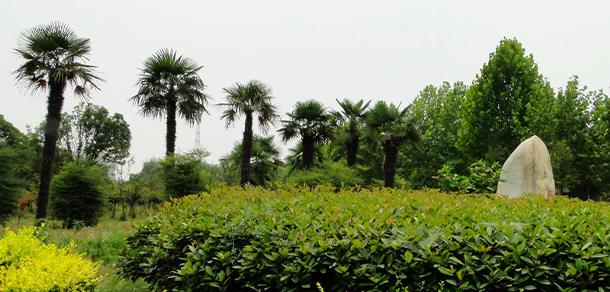 我的大學(xué)-大學(xué)志