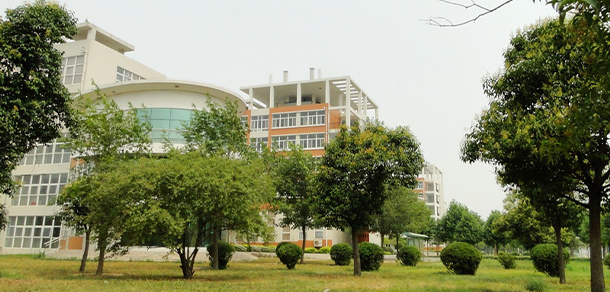 我的大學(xué)-大學(xué)志