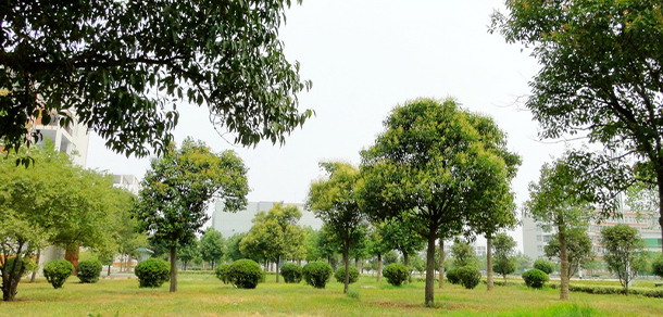 我的大學(xué)-大學(xué)志