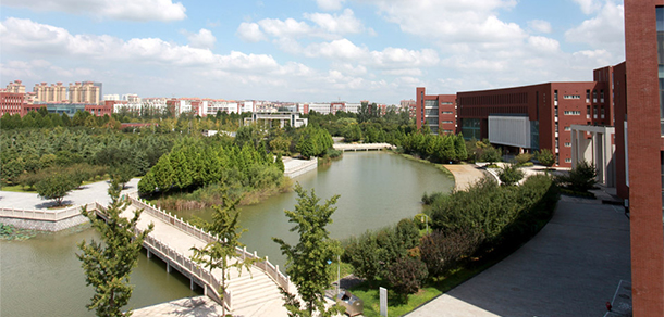 我的大學(xué)-大學(xué)志