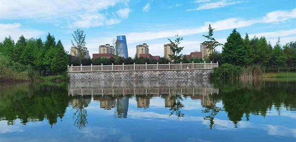 我的大學(xué)-大學(xué)志