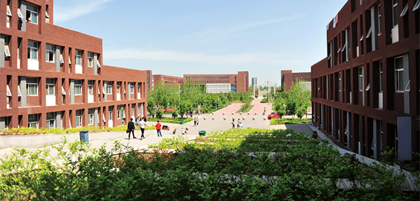 我的大學(xué)-大學(xué)志