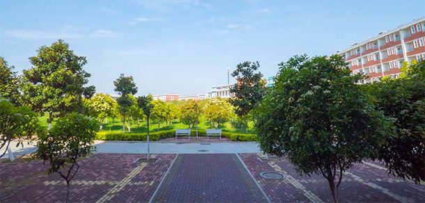 我的大學(xué)-大學(xué)志