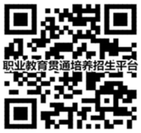 二維碼在線進行報考、計劃查詢、錄取查詢