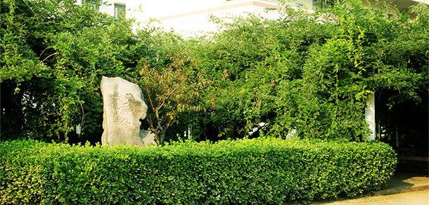 我的大學-大學志