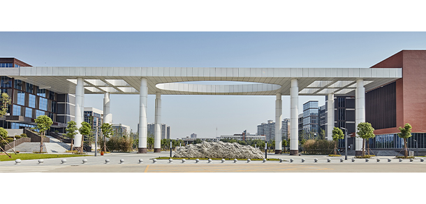 我的大學(xué)-大學(xué)志