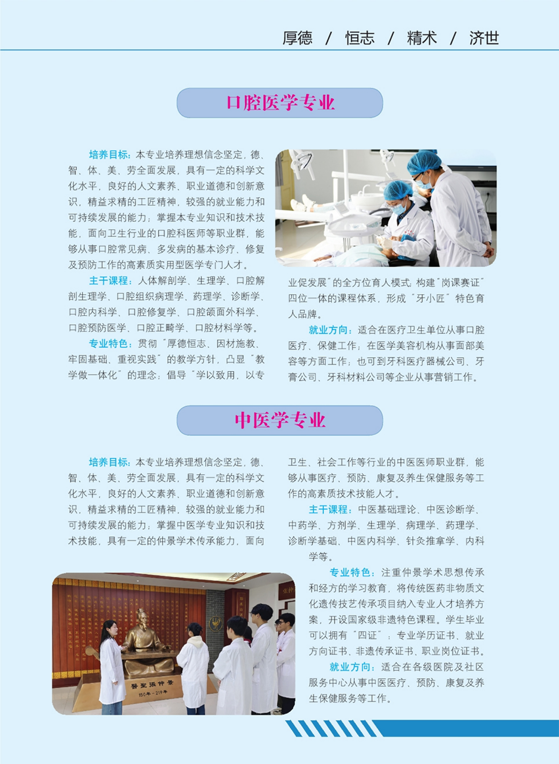南陽醫(yī)學(xué)高等?？茖W(xué)校－專業(yè)學(xué)科