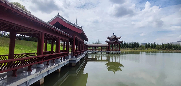 我的大學(xué)-大學(xué)志