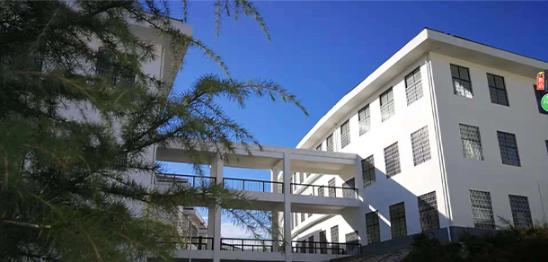 我的大學-大學志