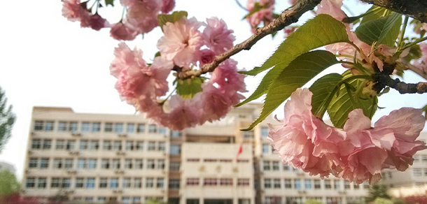我的大學(xué)-大學(xué)志