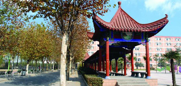 我的大學(xué)-大學(xué)志