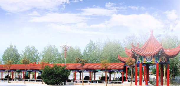 我的大學(xué)-大學(xué)志