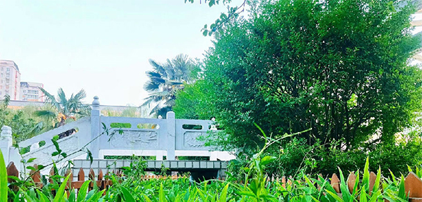 我的大學-大學志