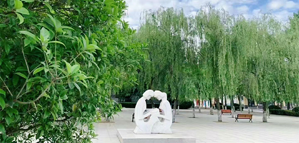 2021年招生分?jǐn)?shù)
