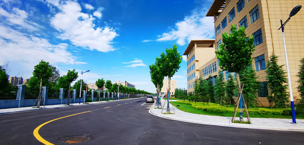 我的大學(xué)-大學(xué)志