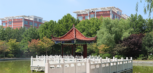 我的大學(xué)-大學(xué)志
