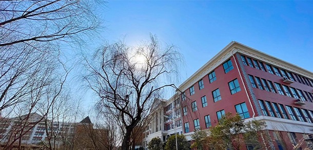 我的大學(xué)-大學(xué)志