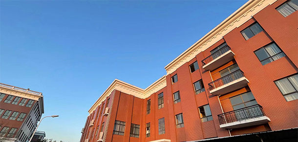 我的大學(xué)-大學(xué)志