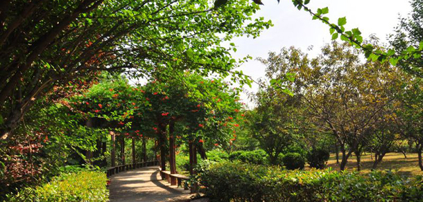 我的大學(xué)-大學(xué)志