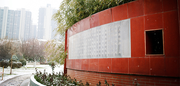 我的大學-大學志