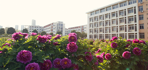 我的大學-大學志