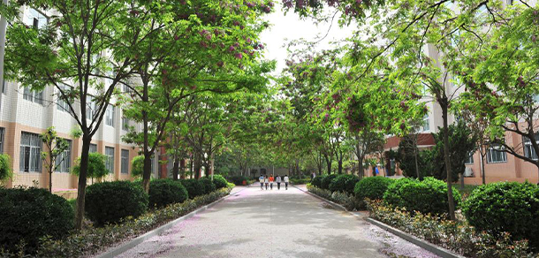 2021年招生分?jǐn)?shù)