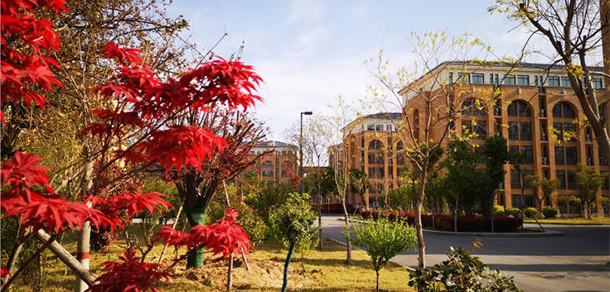 我的大學(xué)-大學(xué)志