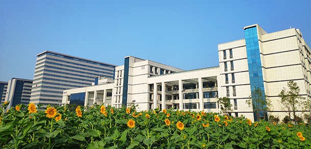 大學校志：校名、校標、校訓(xùn)、?；?、校旗、校歌