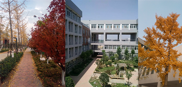 我的大學(xué)-大學(xué)志