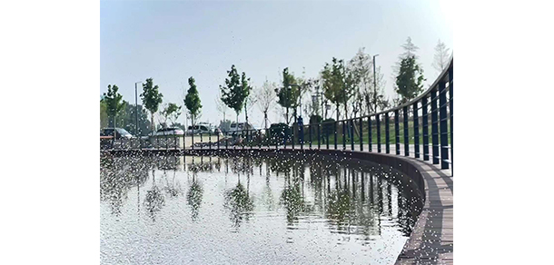 我的大學-大學志