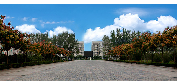 我的大學(xué)-大學(xué)志