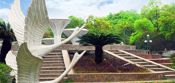 我的大學(xué)-大學(xué)志