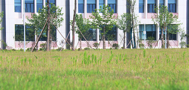 我的大學-大學志