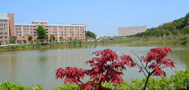 中南林業(yè)科技大學(xué)涉外學(xué)院
