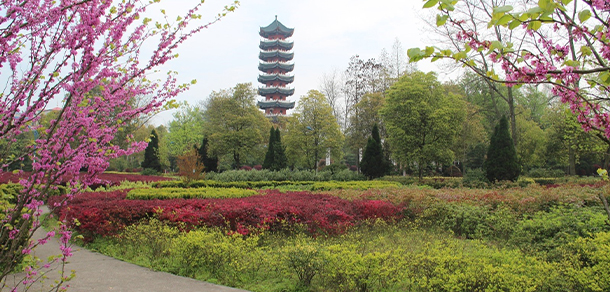 湖南應用技術學院
