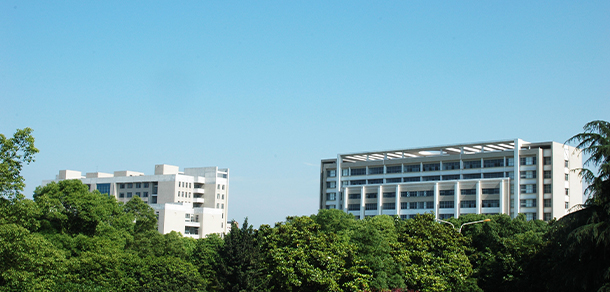 我的大學-大學志