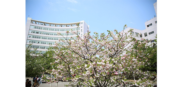 中南林業(yè)科技大學 - 最美大學