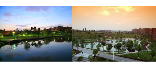 我的大學(xué)-大學(xué)志