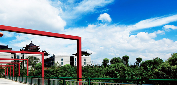 我的大學-大學志