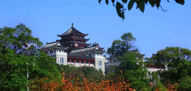我的大學-大學志
